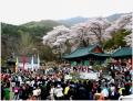 2015년 진달래화전축제 행사장 전경 썸네일 이미지